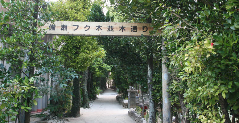 備瀬のフクギ並木看板